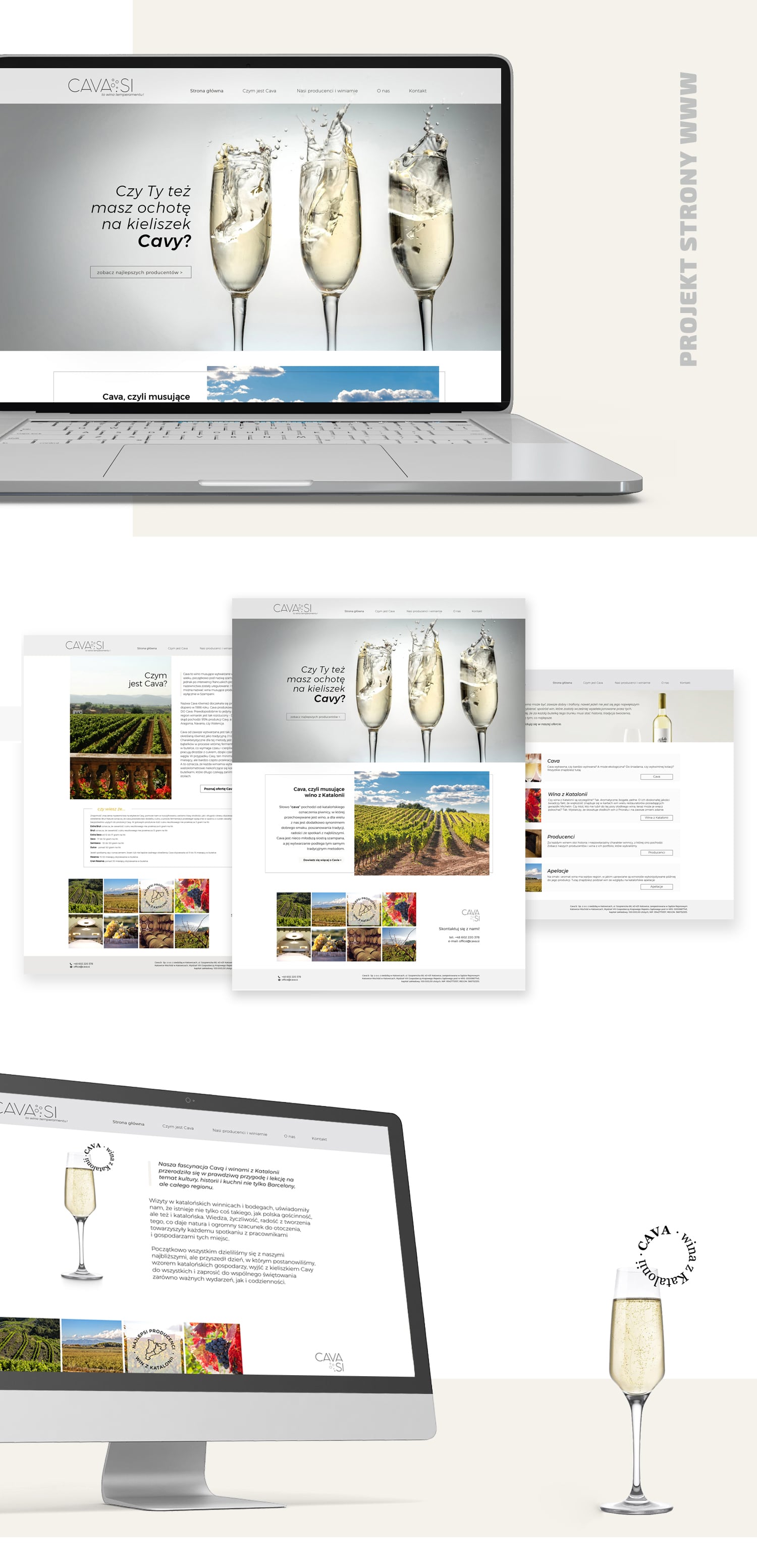 Projekt graficzny oraz wdrożenie strony internetowej dla dystrybutora win Cava 